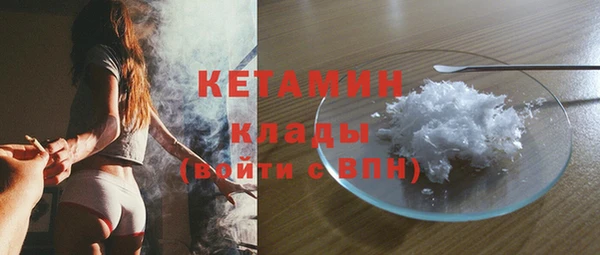 стаф Аркадак