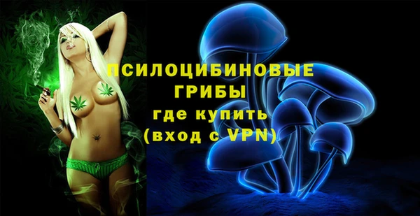 герыч Майский