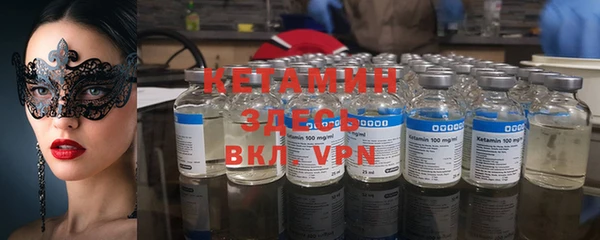 стаф Аркадак