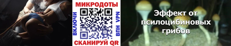 Псилоцибиновые грибы Cubensis  Сасово 